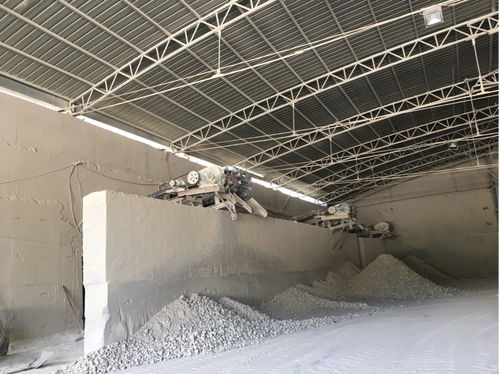 采石場的爆破聲和白灰廠的粉塵,讓山西萬榮西文村的村民苦不堪言