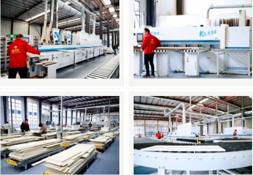 雪寶集團 大國工匠，家居典范