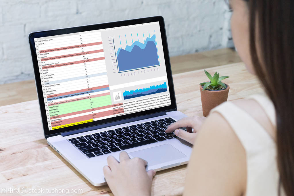 商務信息技術人士工作硬數據分析與咨詢